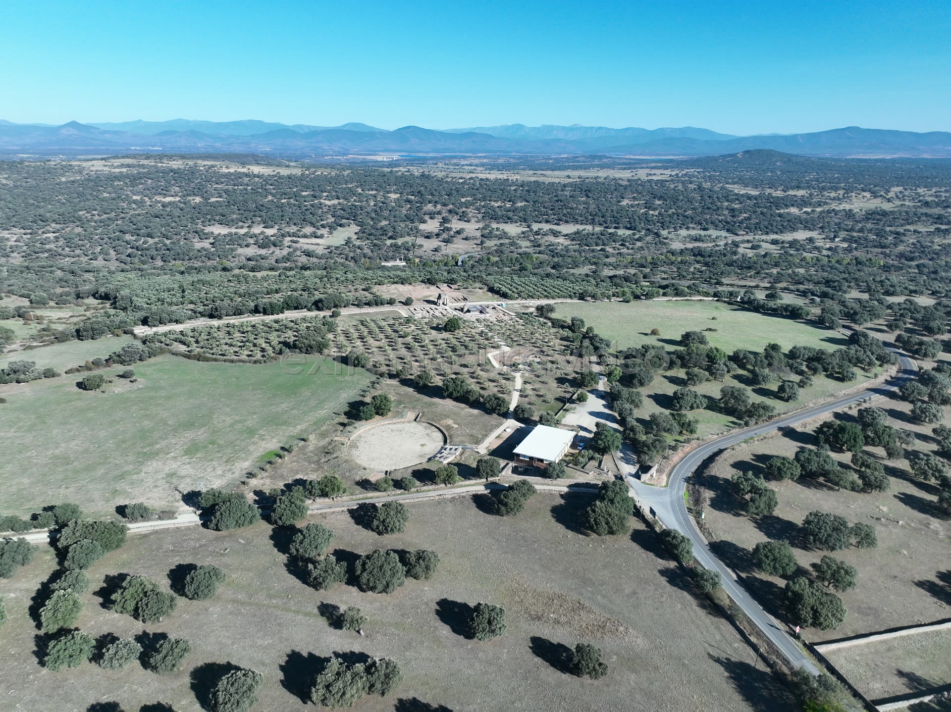 Dehesa con olivar y edificaciones agrícolas, Oliva de Plasencia – foto aérea