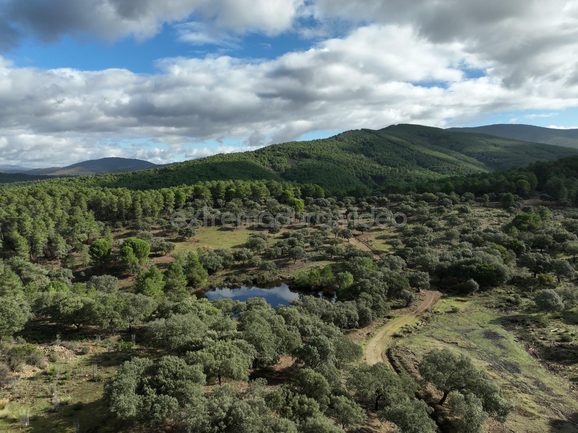 Dehesa con charca en el entorno de Granadilla – foto aérea